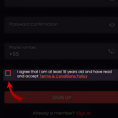 Tick the box to indicate that you accept all terms and conditions